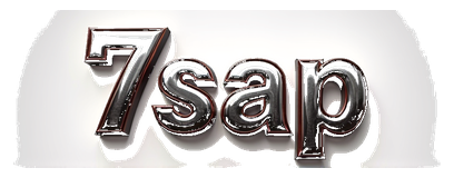 7sap logo